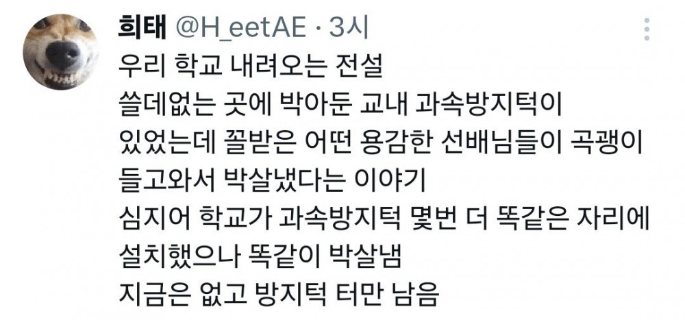 대학 와서 봤던 거 중에 가장 신기한게 뭐였음?