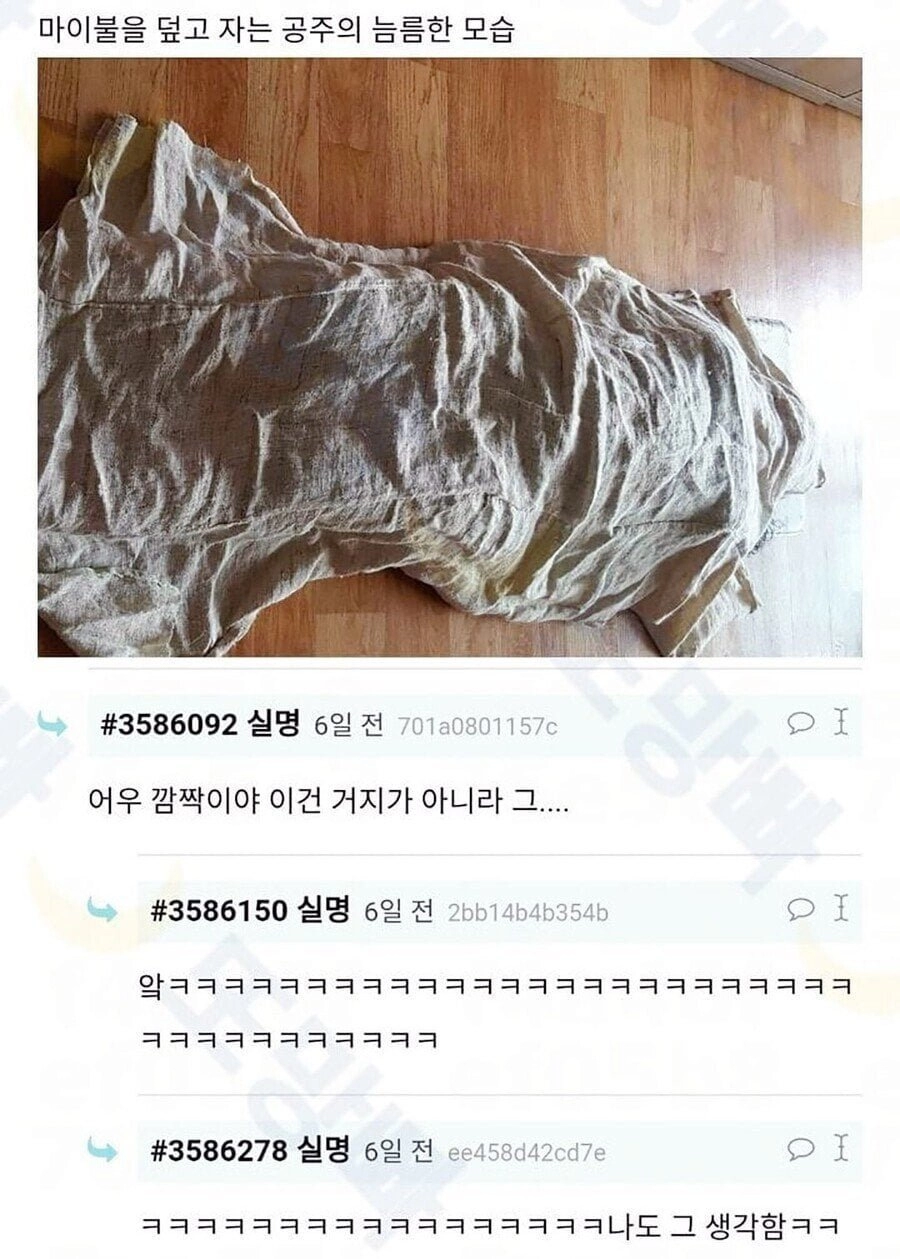 여름용 고급 이불을 얻어온 여고생 인증샷