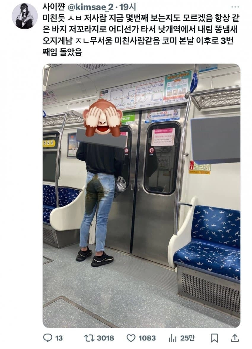 극혐)부산 지하철 1호선 대참사