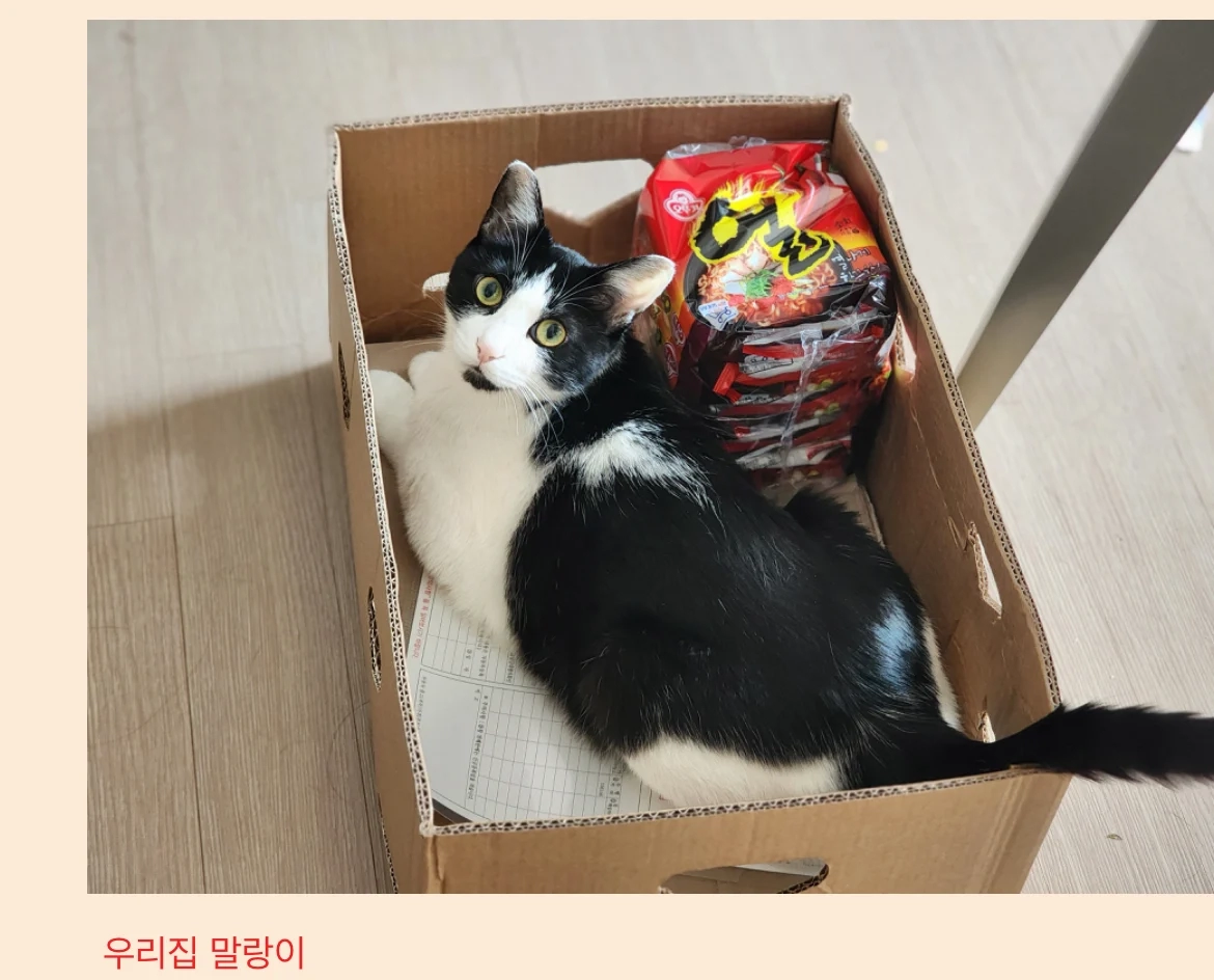남편이랑 싸워도 따로 잘 수가 없는 이유