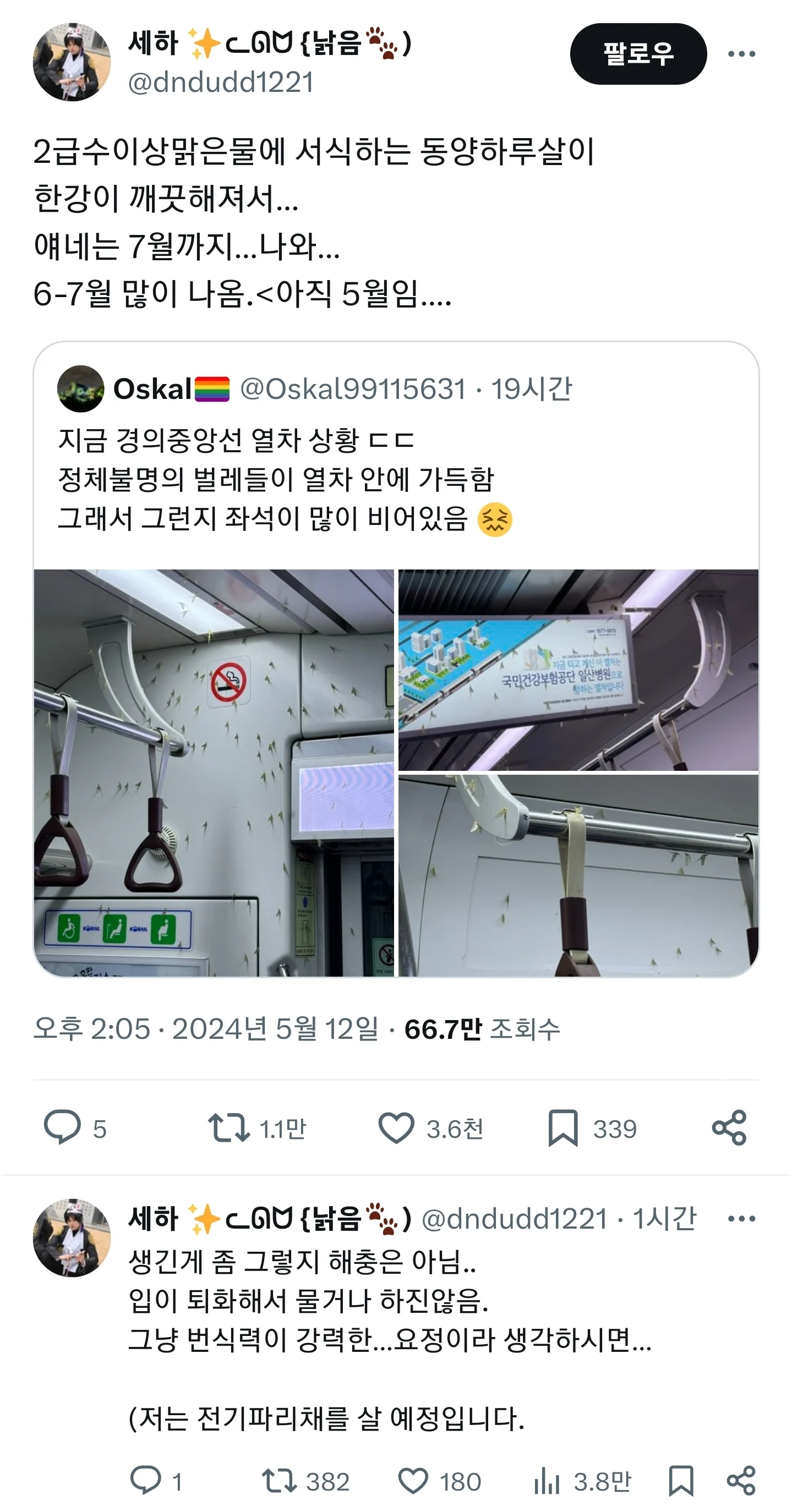한강 깨끗해져서 서울 지하철에 출몰 중인 벌레