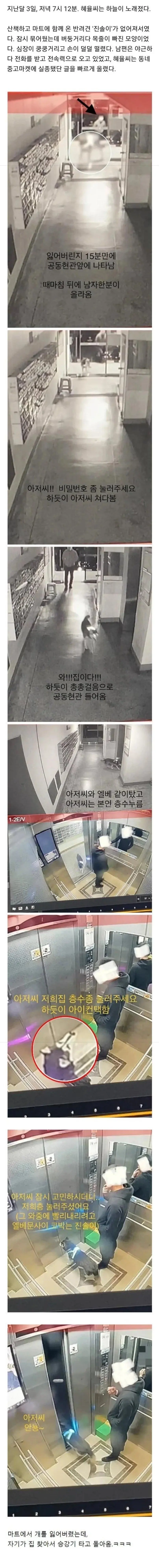 마트에서 잃어버린 개
