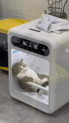 펫 전용 건조기가 맘에 든 고양이