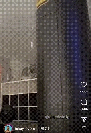 홈트 시작한 와이프..