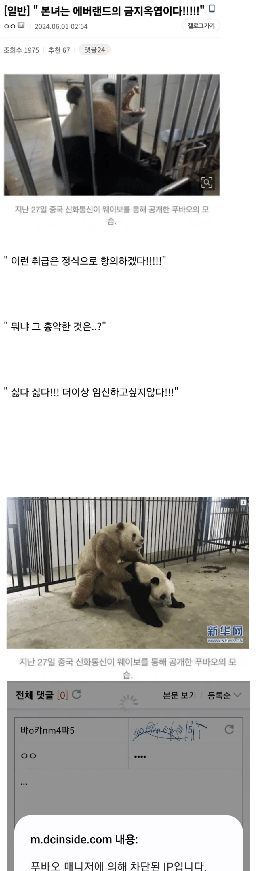 푸바오갤러리 영구차단짤