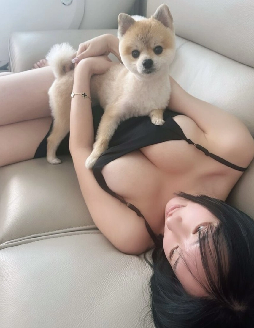 강아지가 너무 부러운 이유