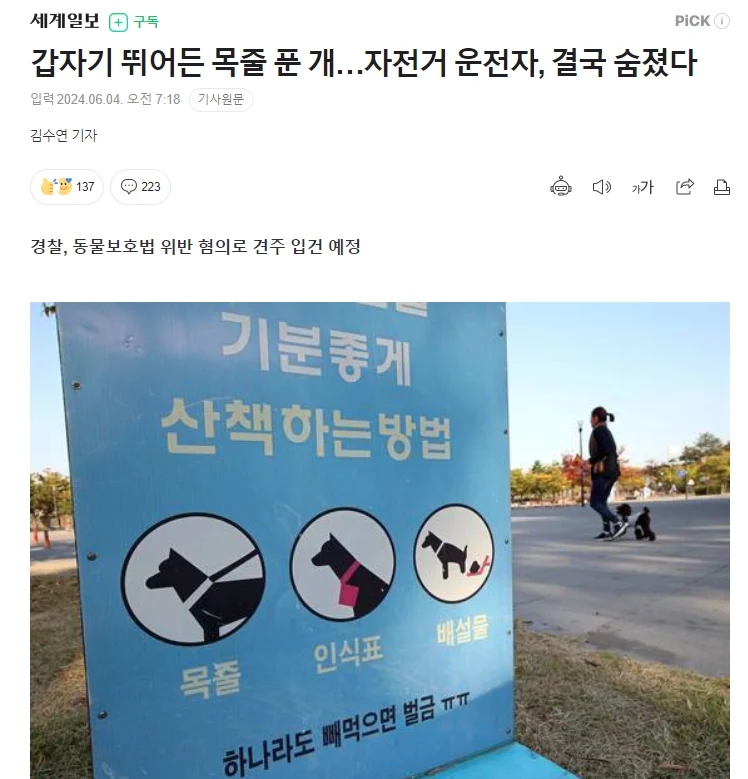 목줄 안한 개와 충돌한 자전저 운전자 사망