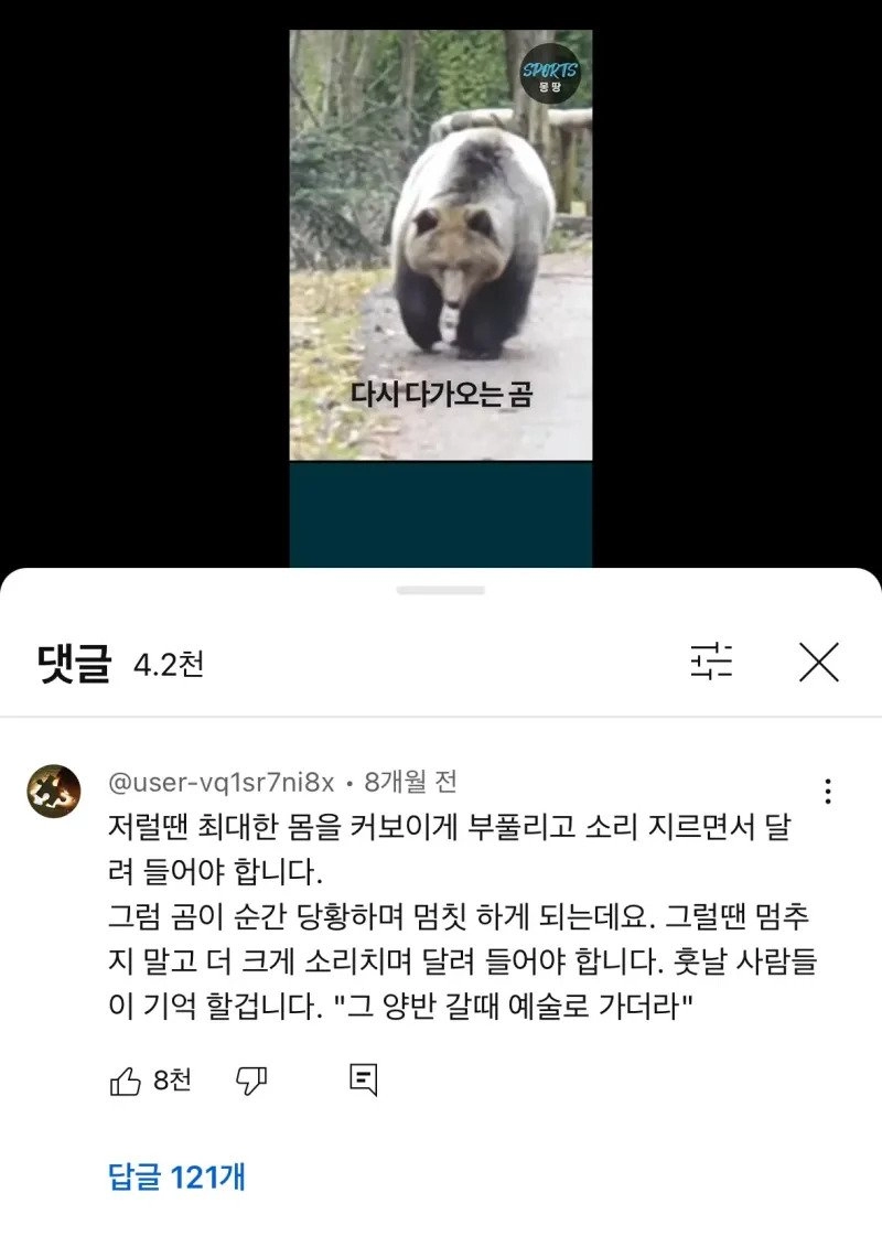 곰을 만났을 때 도망치지 말고 달려들어라