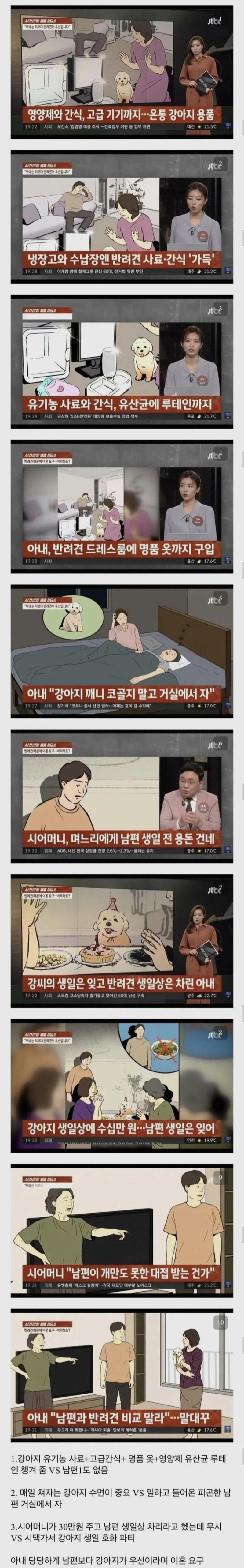 애완견 때문에 이혼하려는 부부
