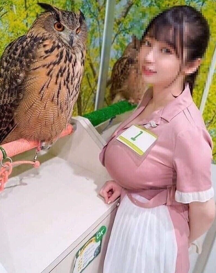 의외로 사람들이 잘 모르는 부엉이 실제 크기