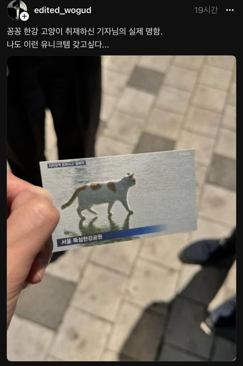 유니크한 명함을 가진 기자 2명