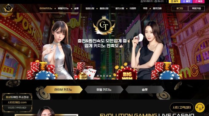시티 먹튀