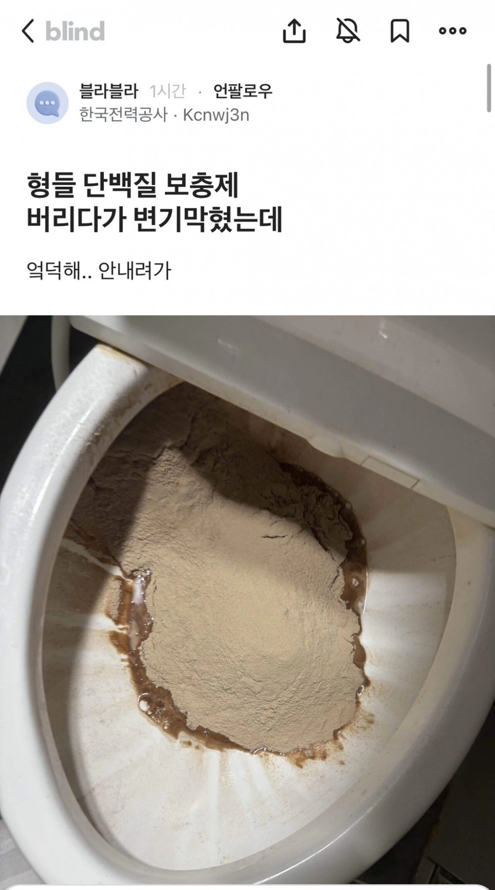 단백질 보충제 버리다가 변기 막혔는데 어떡해