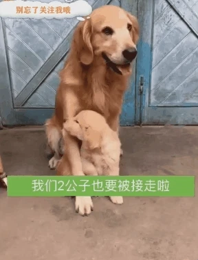 엄마’가 최고인 이유