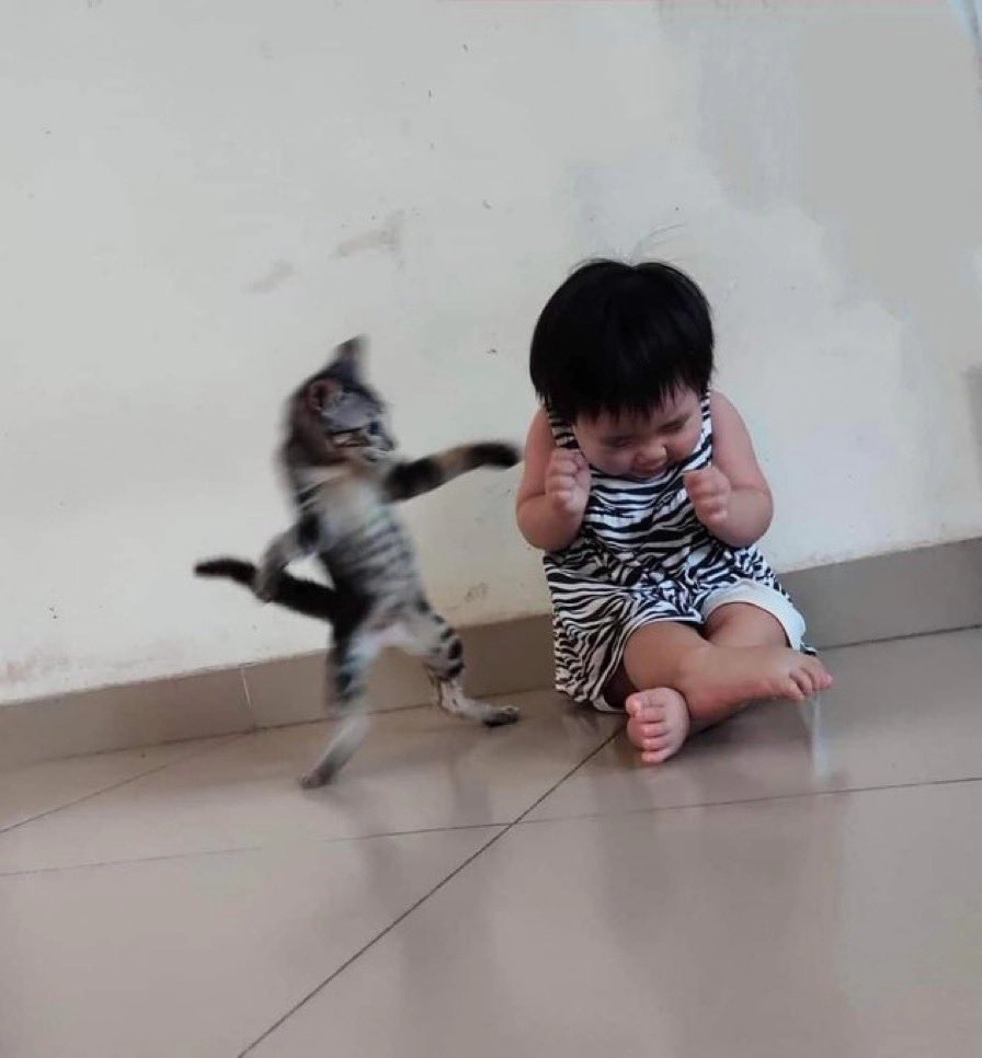 애를 때렸습니다!~
