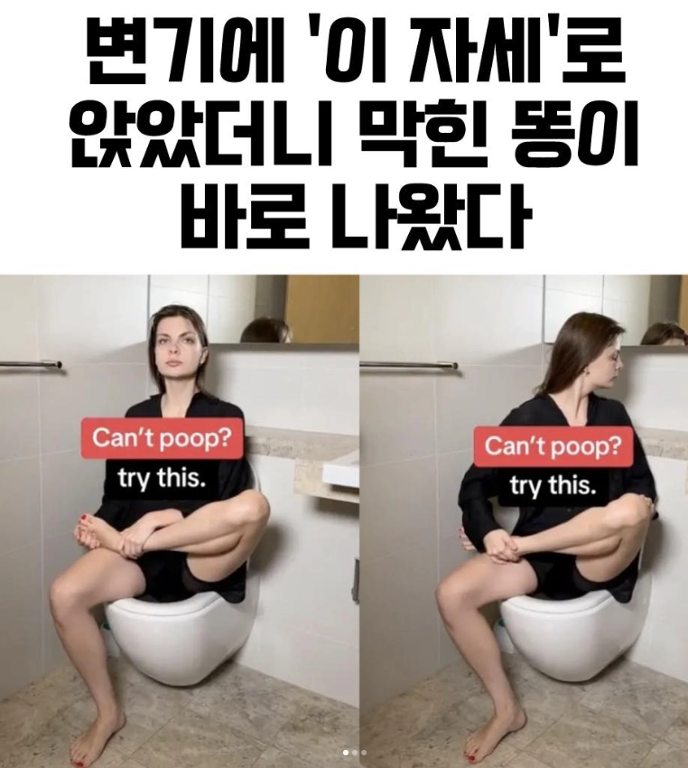 응가 쌀때 꿀팁