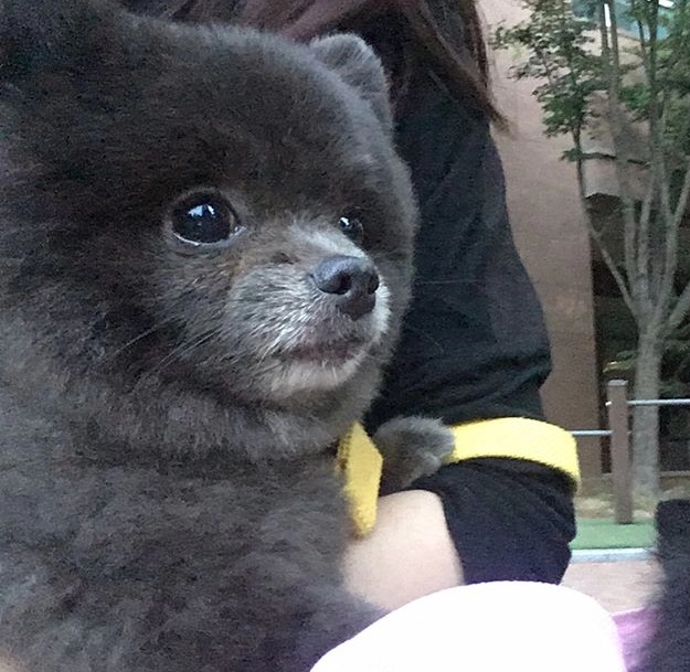 주사맞기 전후