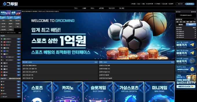 그루밍 먹튀