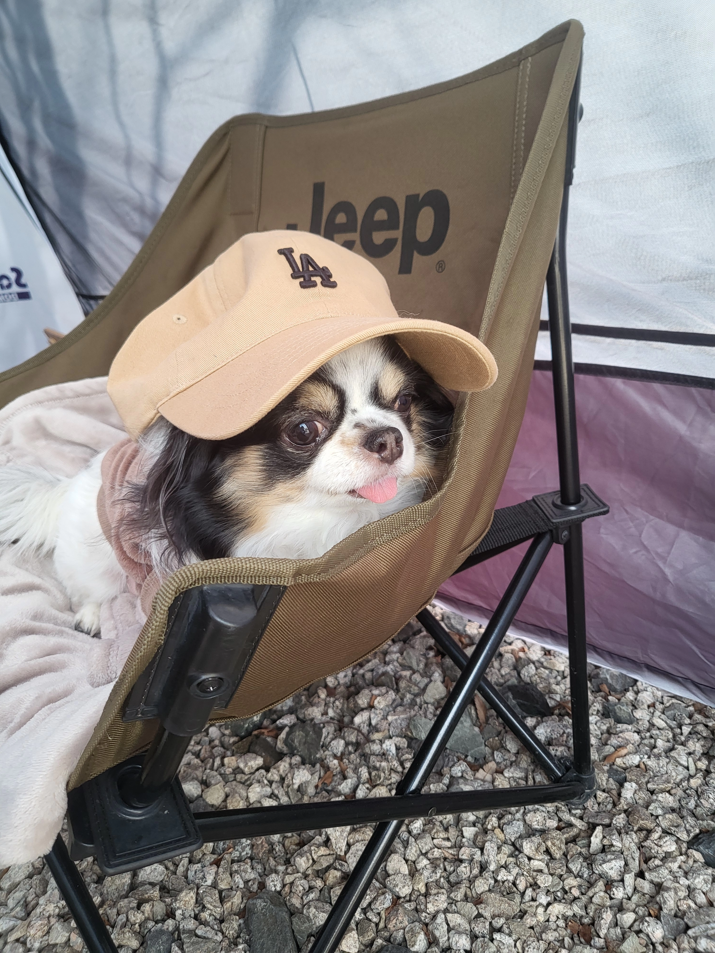 캠핑조하