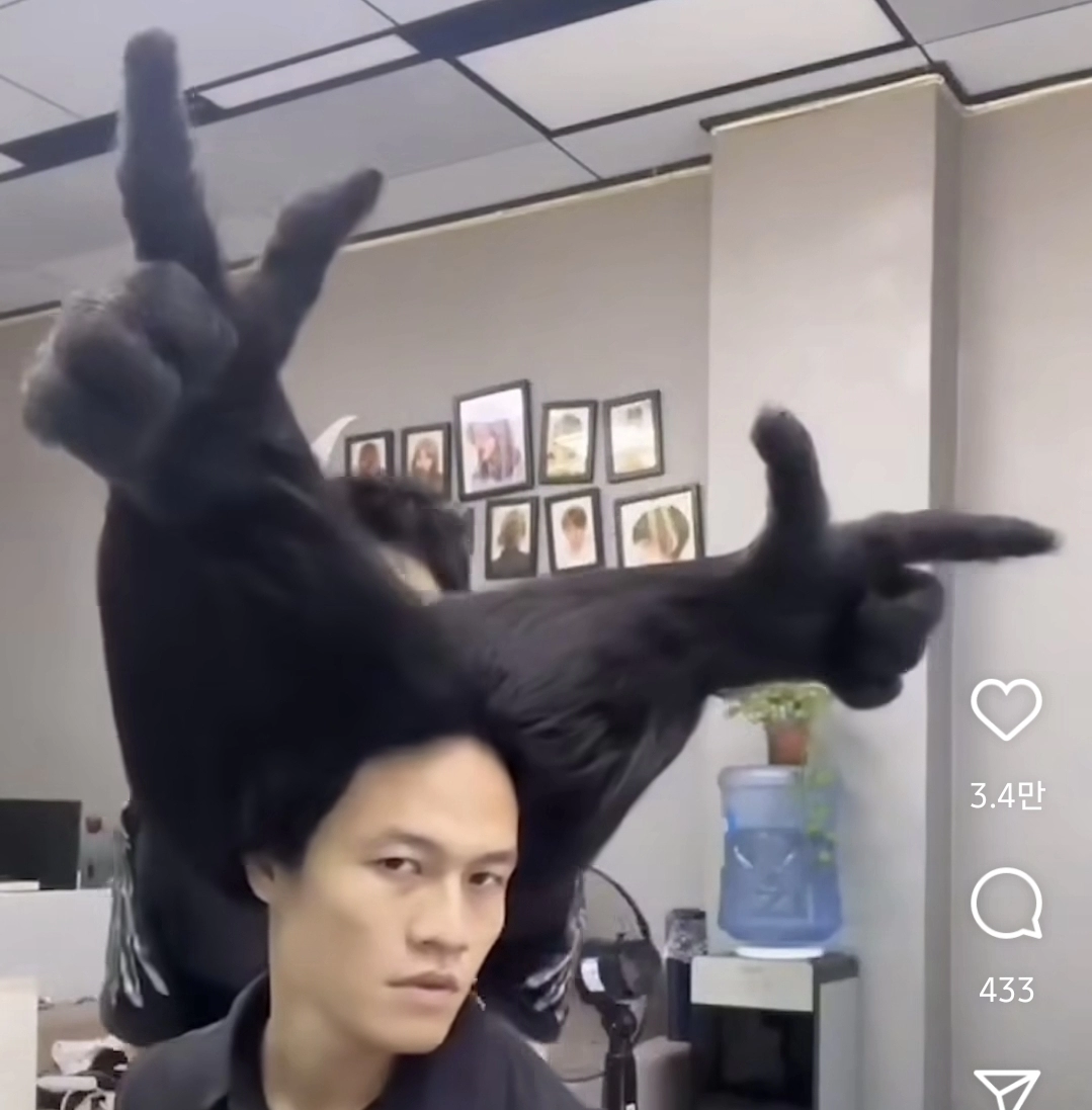 까마귀 두마리