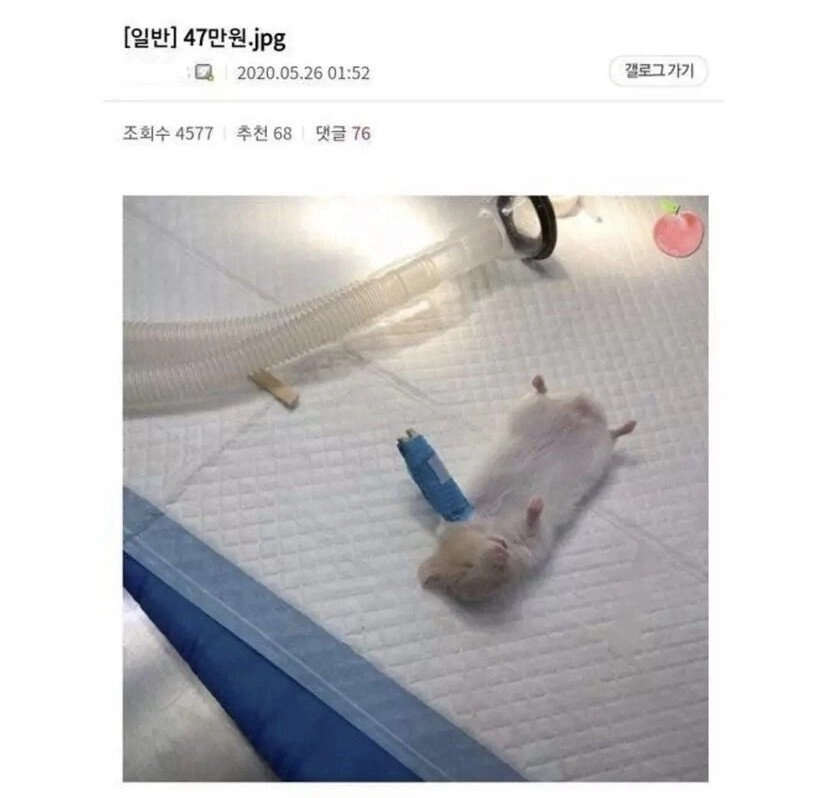 47만원 논란....