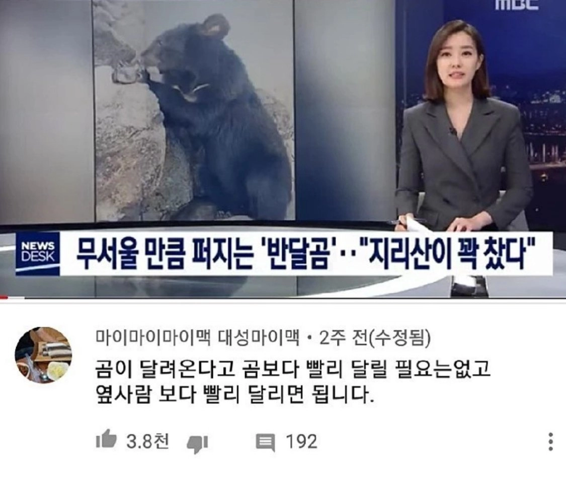 산에서 곰 만났을때 도망가는 꿀 팁