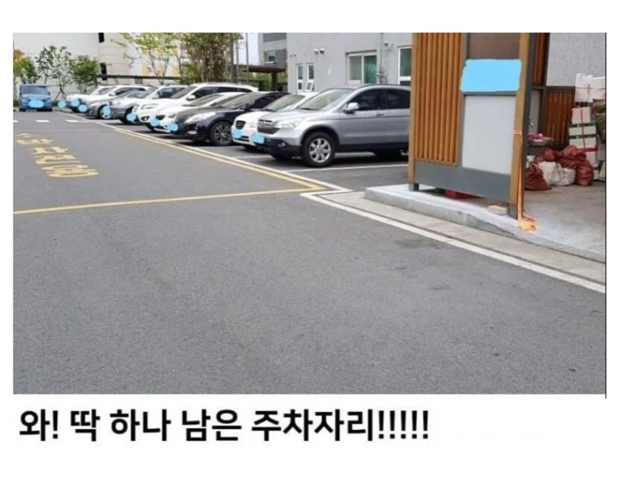 경차들의 은밀한 취미
