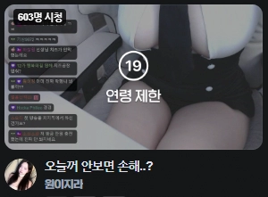 요즘 치지직 19금 여캠 비키니 T팬티 노출 수위