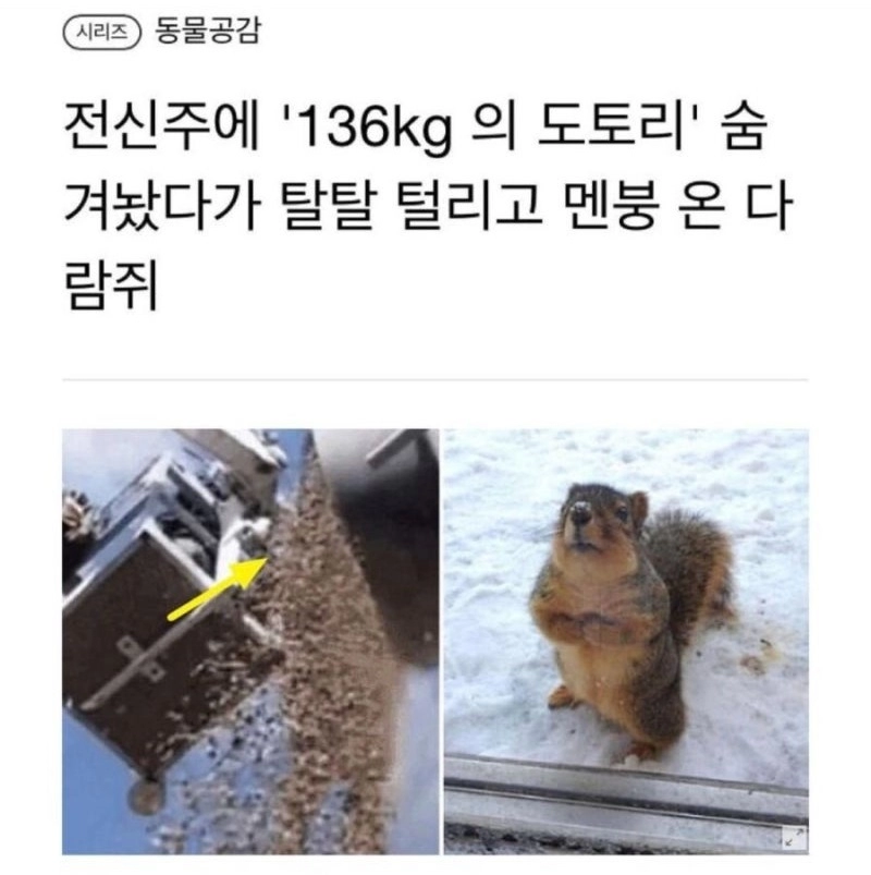 존버하다가 휴지조각 됨