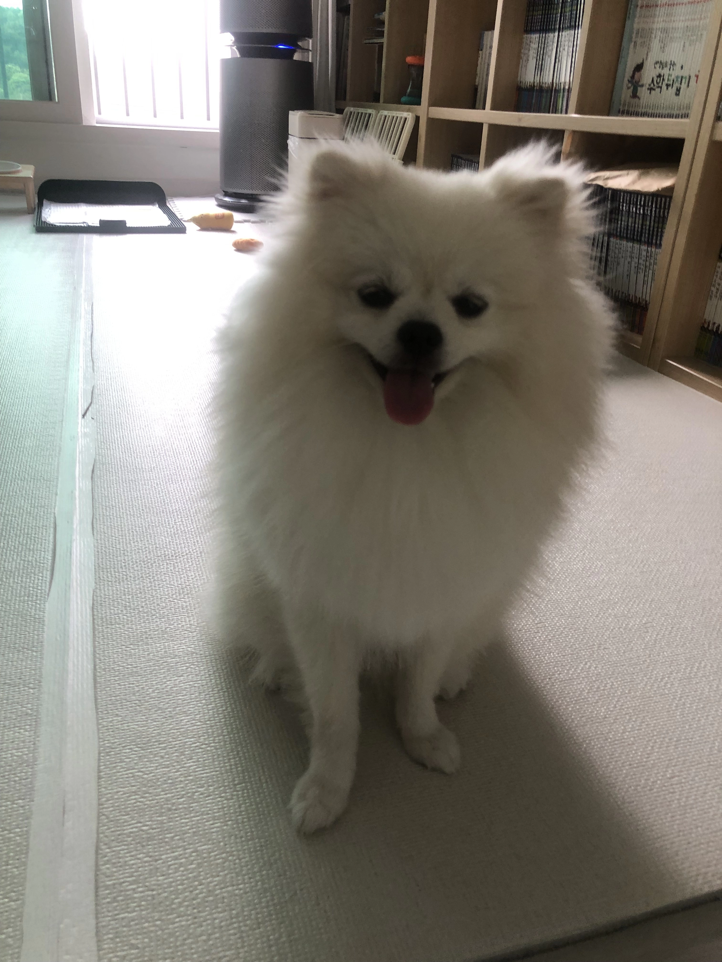 삼치 주세요 제발 좀...