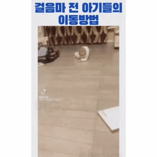 걸음마 전 아가들의 이동방법