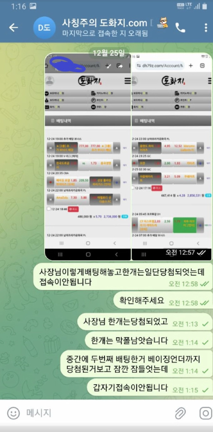 도화지 먹튀