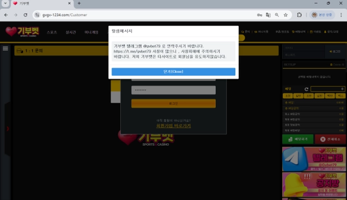 기부벳 먹튀