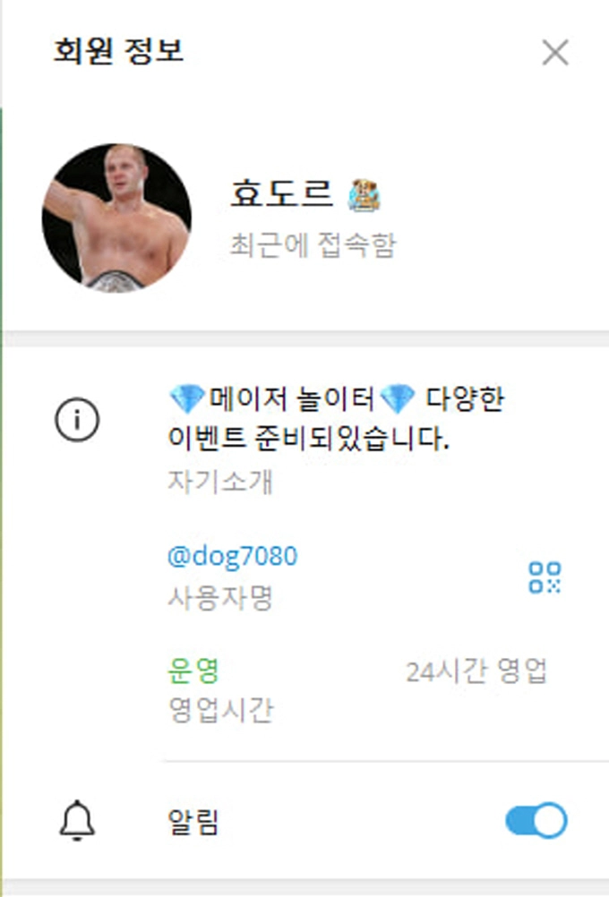 도그하우스 먹튀