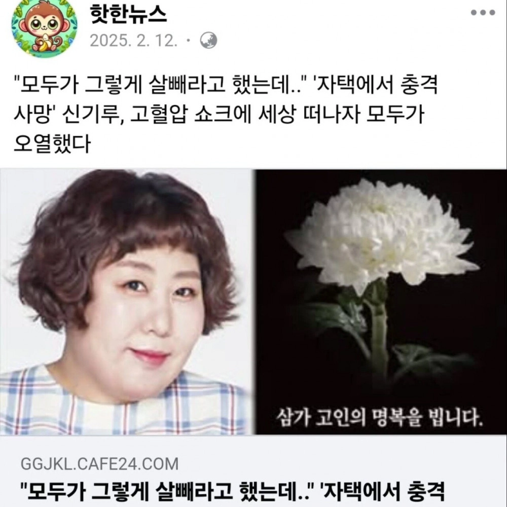 개그우먼 신기루 사망 오보