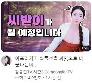 씨받이가 될 예정이라는 BJ감동란