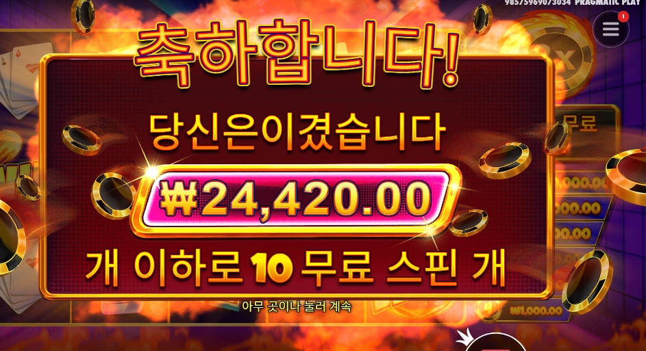 캐시 칩스 ２４천원