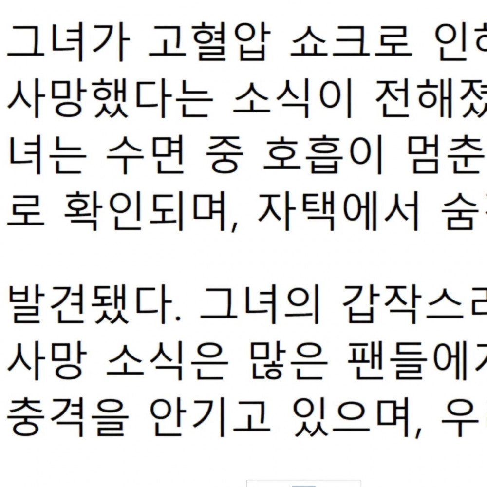 개그우먼 신기루 사망 오보