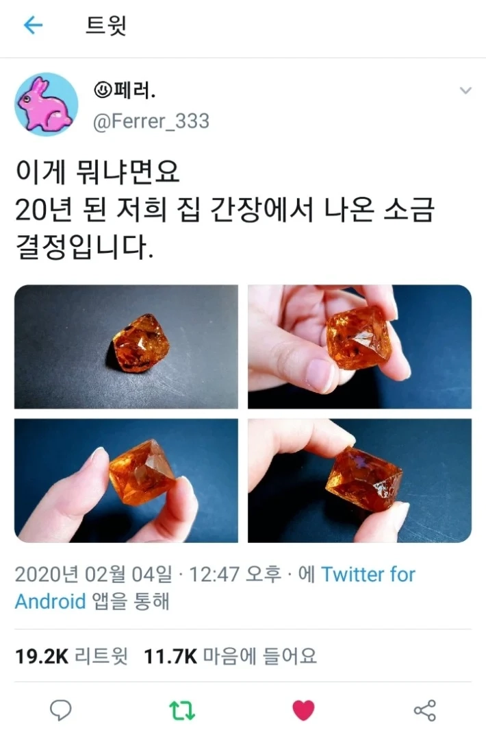빛은 먼 데 있는 게 아니었다 집안에서 발견한 보석