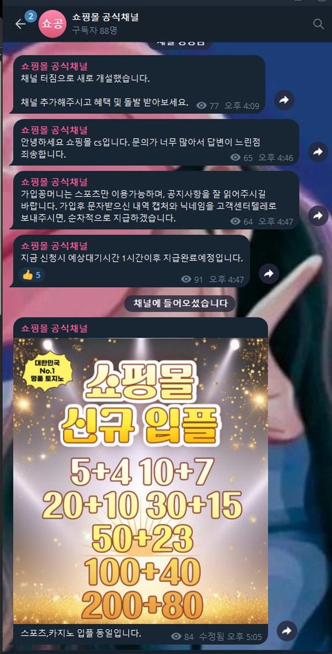 쇼핑몰 먹튀