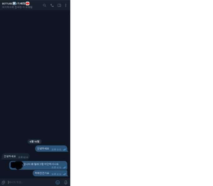 벳튜브 먹튀