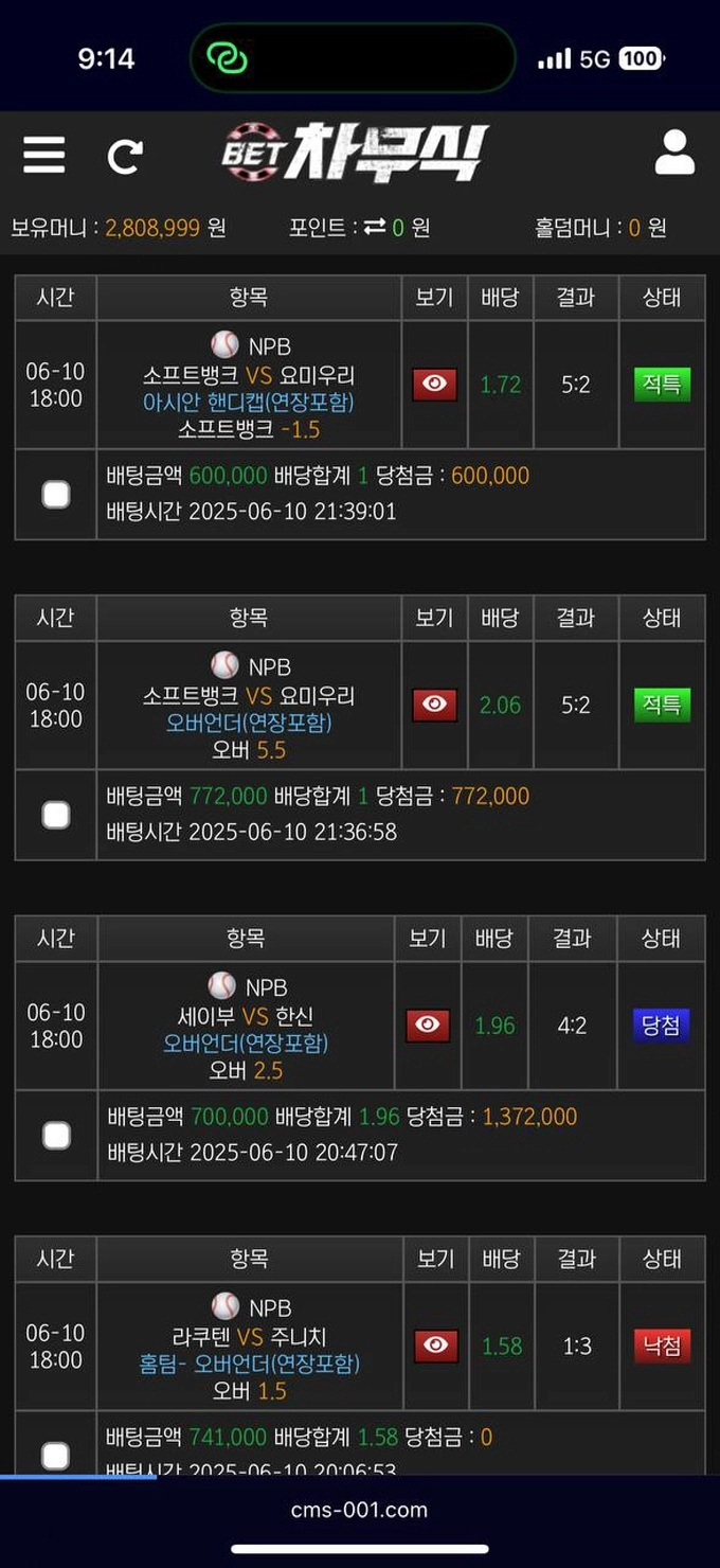 차무식 먹튀