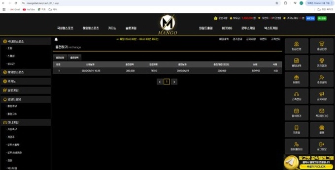 망고 먹튀