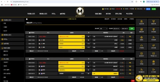 망고 먹튀