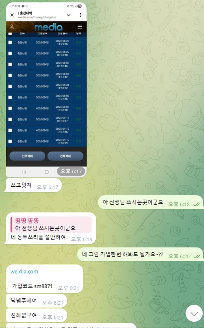 미디어 먹튀