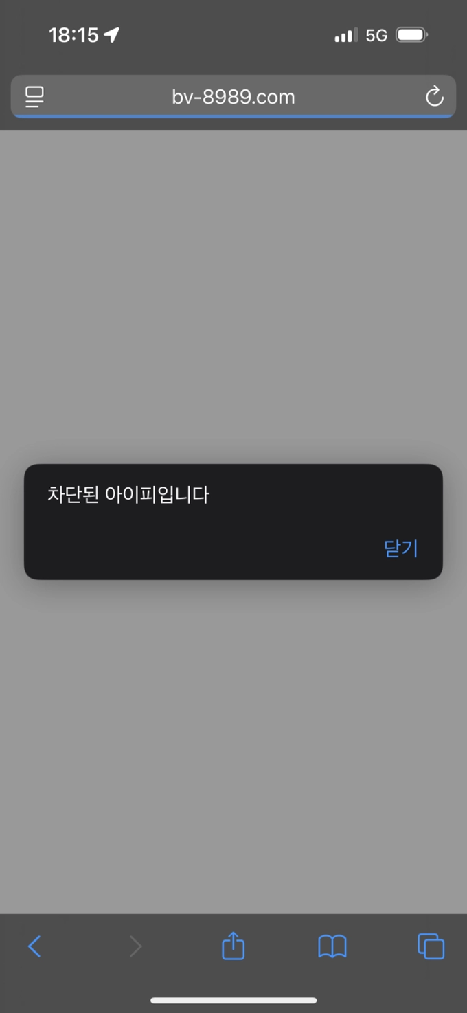 브라보 먹튀
