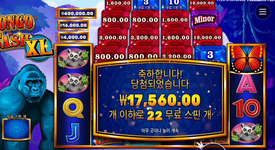 콩고 캐시 XL 22스핀