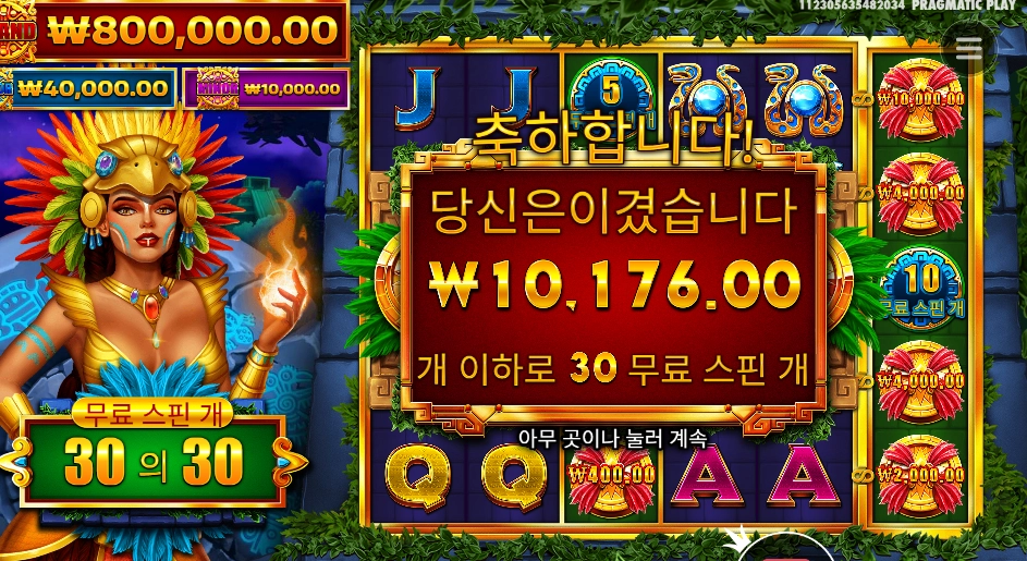 파이어버드 스피릿 30바퀴
