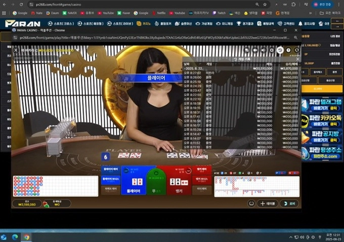 파란 먹튀