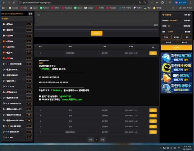 파란 먹튀